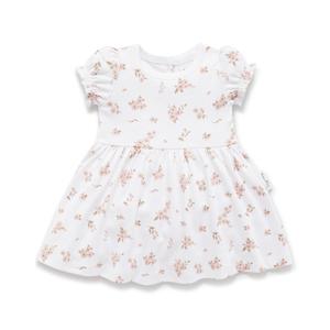 Clothing Toddler: A&O Blossom Skater Dress