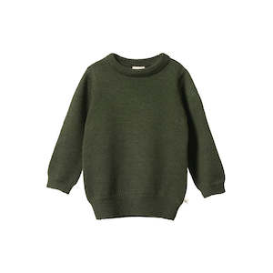 Clothing Baby Jumpers Sweats: Nature Baby Merino Knit Pullover (Thyme)