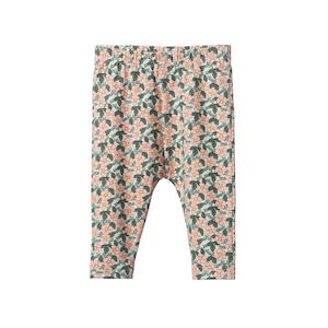 Clothing Baby Bottoms: Nature Baby Organic Cotton Leggings (Garland Print) - Baby