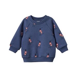 Clothing Boys Jumpers Sweats: Nature Baby Emerson Sweater (Best Friend Indigo Print)
