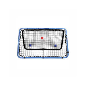 Products: Professional 2.0