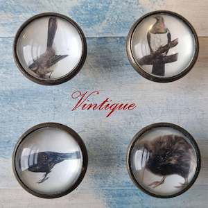 Animals And Wildlife Theme: Olivia Bezett's SET OF 4 Native Birds antique Gold furniture Knob-38mm dia