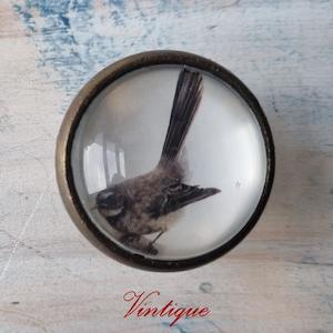 Animals And Wildlife Theme: Olivia Bezett's Pīwakawaka (Fantail) Native Bird antique Gold furniture Knob-38mm dia