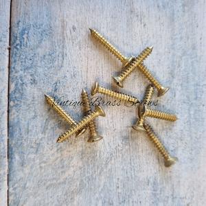 Domed slot head Solid Brass wood screws 19mm 5 gauge