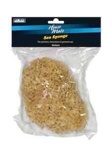 Large Natural Sea Sponge (approx 120mm) for faux painting