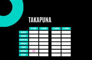 TAKAPUNA - 79 Barrys Point Road
