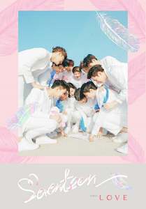 [PRE-OWNED] Seventeen Album Vol. 1 - FIRST ‘LOVE & LETTER’﻿
