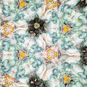 Aimer - Taiyo ga Noboranai Sekai (Japanese Edition)