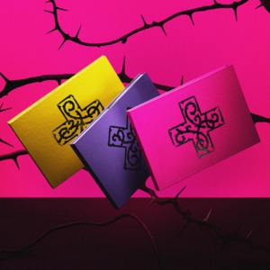 PRE-ORDER: TXT 8th Mini Album – 7TH YEAR: A Moment of Stillness in the Thorns (Random)