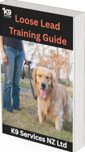 Products: Loose Lead Walking Step - by - Step Training Guide k9-services-nz