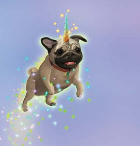 Kaahu Kids Gift Card