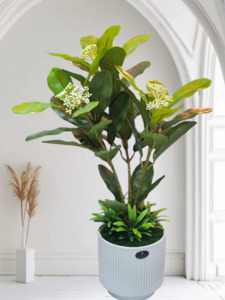 Home Decorations: Green Plant With Vas 48cm tall