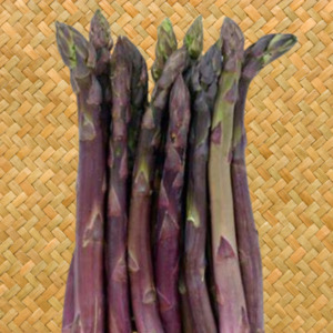 Asparagus 'Precocce d'Argenteuil' - Kahikatea Farm Certified Organic Nursery and&hellip;