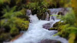 Products: Interior Design - Ka Hikitia