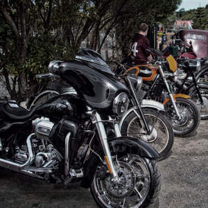 Kaikoura Hop Four Days of fun – your ticket to an entire Kaikoura weekend