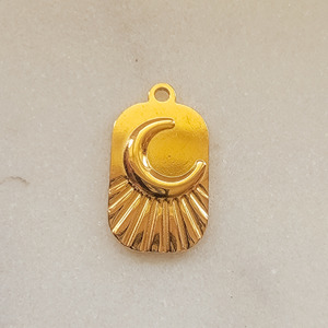Large Moon Dog-tag
