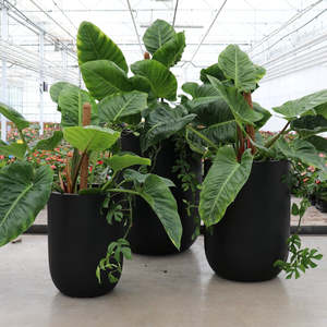 pots: Oreti Black Planter - Small