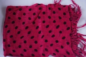 Fuchsia - The Elephant Tree