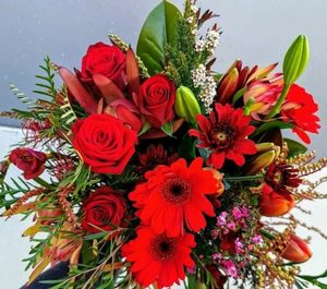 Reds - Kakariki Flowers