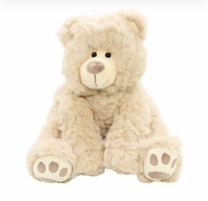 Products: Teddy bears - Kakariki Flowers