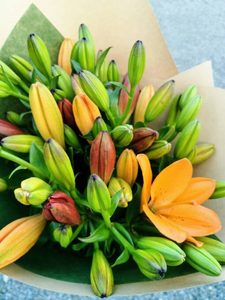 Products: Lively Lily Collection - Kakariki Flowers