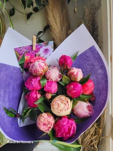 Peony Perfection Mixed - Kakariki Flowers