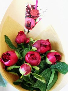 Products: Peony Red Charm - Kakariki Flowers