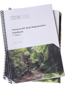 Aotearoa NZ Bush Regeneration Handbook