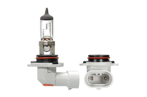 48095 H10 12V 42W PY20d Globe Halogen Kamo Parts