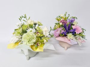 Pot Arrangement - Small - Kamo Village Florist