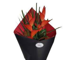 Products: Heliconia Flower 2 stems - Kamo Village Florist