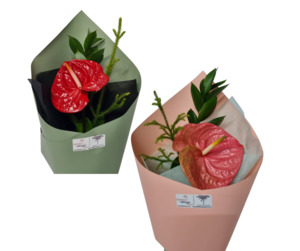 Products: Anthurium Flower - Kamo Village Florist