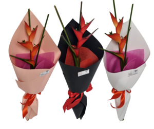 Products: Heliconia Flower - Kamo Village Florist