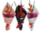 Heliconia Flower - Kamo Village Florist