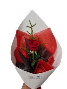 Single Red Rose - Kamo Village Florist