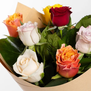 Products: Lucky Dip Roses 5 Stems in a Vox - Kamo Village Florist