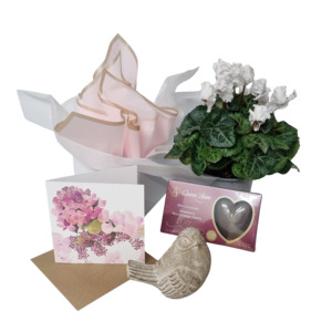 Products: Garden Gift - Kamo Village Florist