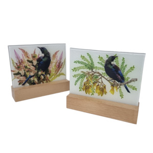 Glass Tui Block - Kamo Village Florist