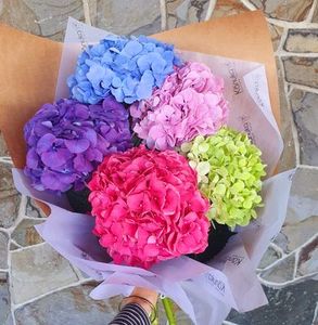 Fresh flowers Kānuka Boutique Florist: Hydrangea Bouquet