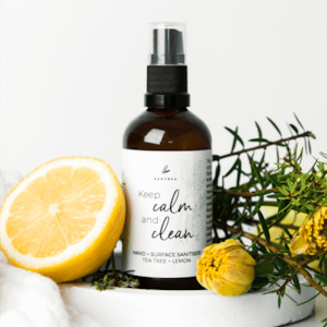 Soaps: Hand Sanitiser 100ml