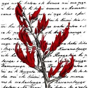 Print Illustrations: Timeless Essence