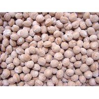 Cough Drops - Aniseed