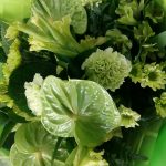 Products: Citrus Fresh