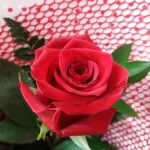 Products: Specialist Floristry