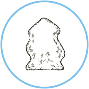 Products: Sheepskin Kapiti Dry Cleaning