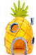 Pineapple Home