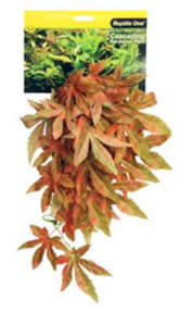 Reptile One Hanging Sativia Red 40cm