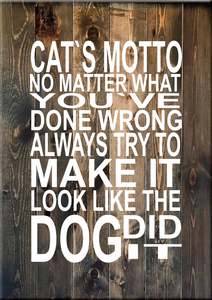 Animal Signs: AN8 CATS MOTTO NO MATTER