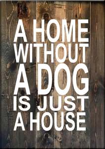 AN3 A HOME WITH OUT A DOG