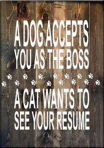 AN9 A DOG ACCEPTS YOU